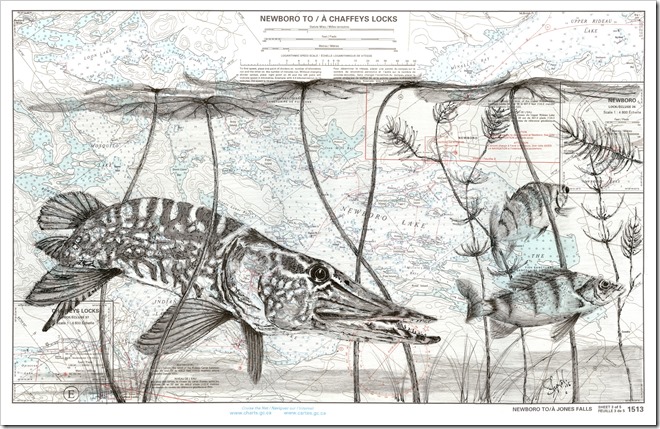 the Chase - Pike and Perch giclee 9 inch