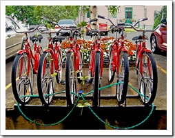 Bikes, photo Tague